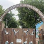 Okhla Bird Sanctuary