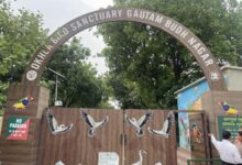 Okhla Bird Sanctuary